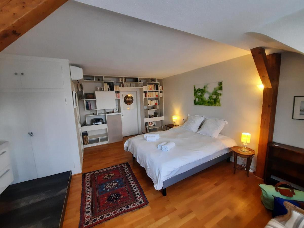 145M² City Center 4 Bedrooms View Of The Cathedral Στρασβούργο Εξωτερικό φωτογραφία